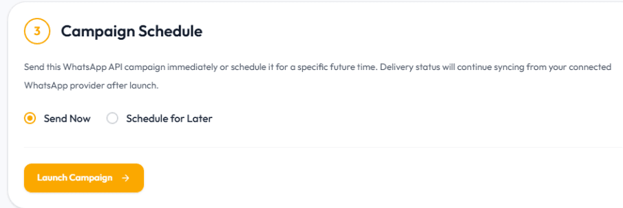 Campaign setup — review your campaign before launching.